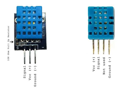 How To Set Up The Dht Humidity Sensor On The Raspberry Pi Circuit Basics