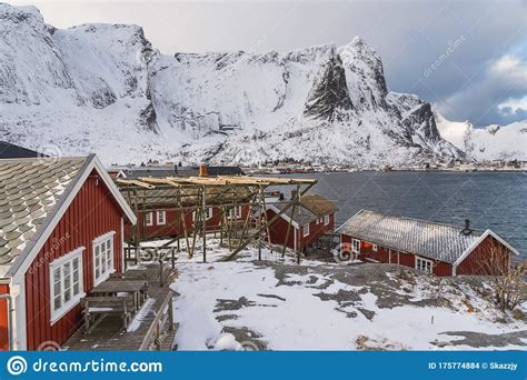 Red Traditional Fishing Cabin In Reine Village Lofoten Island Norway