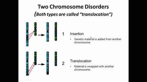 Chromosome Abnormalities Fact Sheet