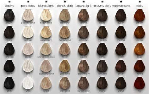 Ash Brown Hair Color Chart Loreal