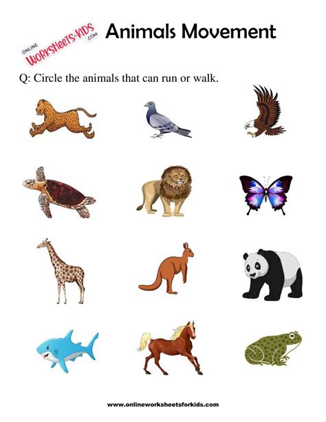 Animals Movement Worksheets For 1st Grade 9