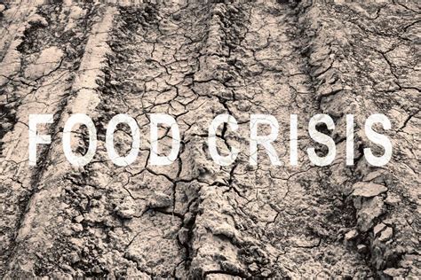 Food Crisis World Hunger Failed Grain Crops Bread Shortage Drought