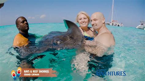 Grand Cayman Shore Excursion Stingray City Carnival Cruise Line Youtube