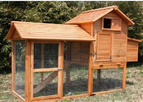 Contextual translation of reban ayam translate in english into english. contoh reban ayam , burung dan arnab | MuaturunSiNi
