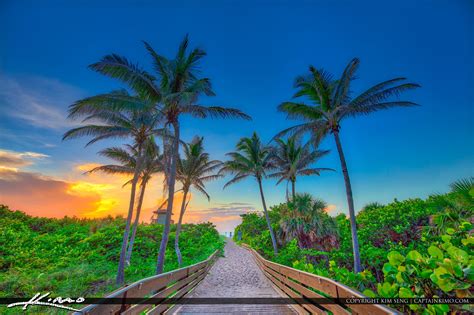 Coconut Tree Ocean Reef Park Singer Island Florida Hdr Photography By
