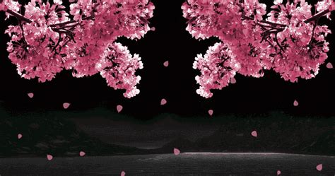 Collection : Top 27 background bergerak gif (HD Download)