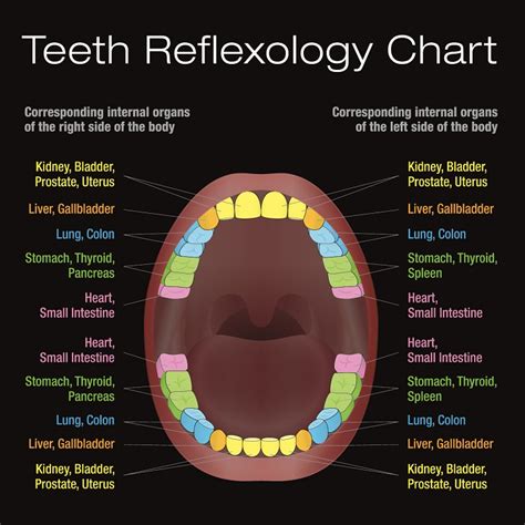 Tooth Pain May Indicate A Problem With Your Organs