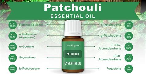 Patchouli Essential Oil The Complete Uses And Benefits Guide