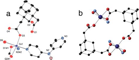 A Distorted Octahedral Coordination Environments At Cobalt In 2 With