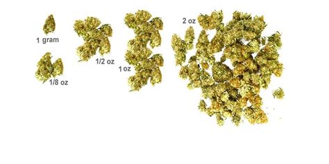 How many grams are in 1 pound? How Much is an 8th: Mastering Cannabis Weights - Legalize ...