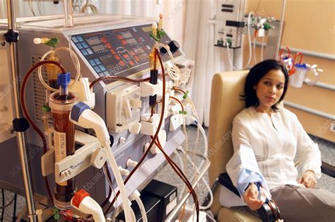 Kidney Dialysis Stock Image M4950119 Science Photo Library