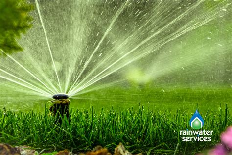 Should You Get An Irrigation System Rainwater Services
