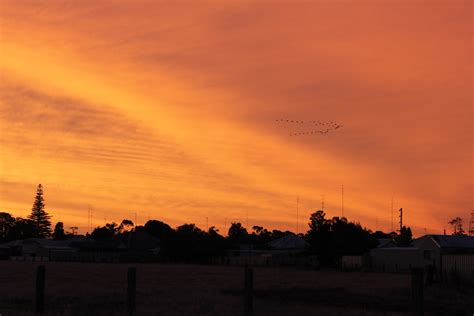 Flock At Sunset Enjosmith Flickr