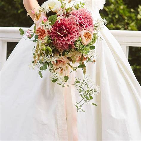 Are you over 18 years of age? Pin auf LuxeList | Paloma Blanca