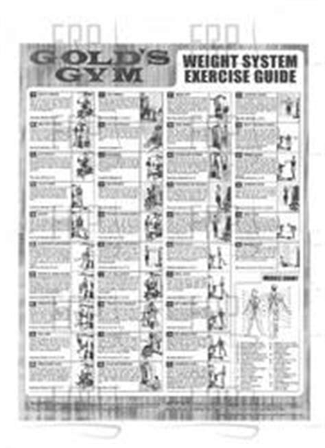 If you can't decide between an exercise bike or another piece of home gym equipment, why not take a look at these reviews below on elliptical trainers, treadmills, rowing machines and other home gym machines to help you make up your mind? Gs 2500 Golds Gym Exercise Manual free download programs - pathblogs