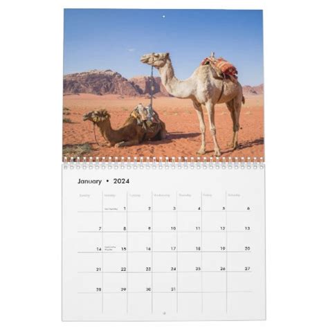 Camel Calendar Zazzle