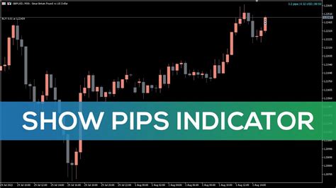 Show Pips Indicator For Mt5 Best Review Youtube