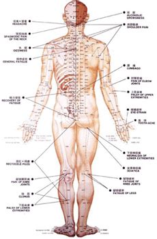 Acupressure points for sciatica leg pain|one magical point for sciatica pain prt 2 #naturallivingdrxfor better impact try points by acupressure toolsbuy link. Piper Dunlap - What Acupuncture Treats
