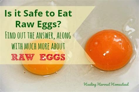 Is It Safe To Eat Raw Eggs Raw Egg Truths And How To Eat Raw Eggs