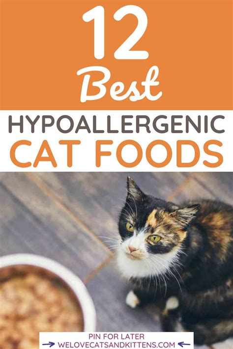 12 Best Hypoallergenic Cat Foods Of 2021 In 2021 Healthy Cat Food