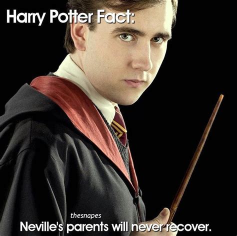Pin By Catherine Bonser On Harry Potter Harry Potter Harry Potter Fan Theories Neville