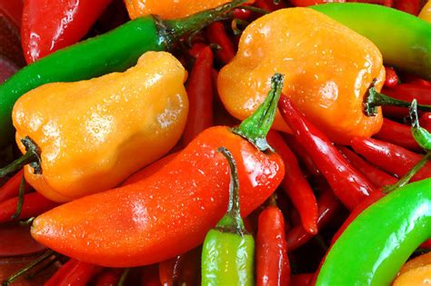 Why Peppers Taste Hot