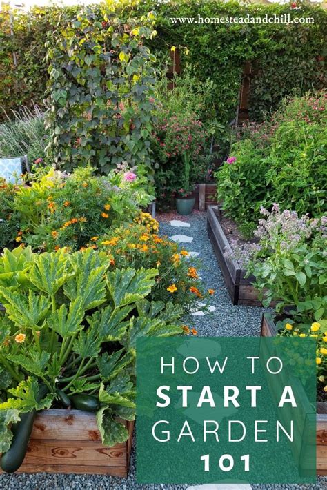 How To Start A Garden 101 ~ Homestead And Chill Starting A Garden
