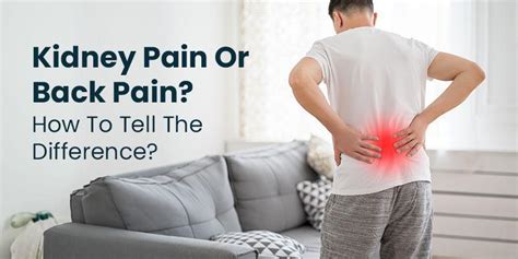 Kidney Pain Or Back Pain How To Tell The Difference
