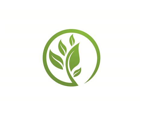 Logos Of Green Tree Leaf Ecology 565573 Vector Art At Vecteezy