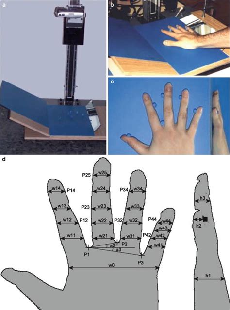 Hand Geometry Springerlink