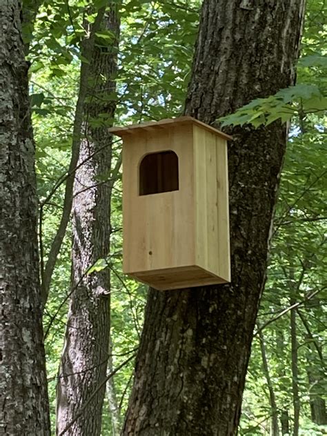 Barred Owl Nest Box Plans How To Build A Barred Owl House Feltmagnet