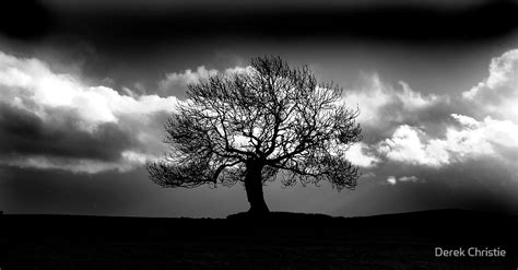 The Dark Tree By Derek Christie Redbubble