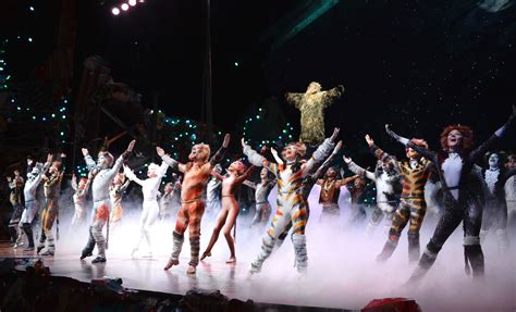 Grizabella the glamour cat is a main character in the andrew lloyd webber musical cats.lonely and decrepit, grizabella seeks acceptance from the other jellicle cats but is initially ostracised. CATS Giveaway for Sydney Show - Dance Informa Magazine