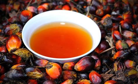 Palm oil malaysia products directory and palm oil malaysia products catalog. Malaysian red palm oil - Top 9 health benefits