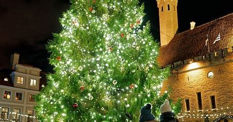 Creating a small bonsai tree takes years of root pruning and proper growth techniques. Christmas Trees: Where & When Did They Originate ...