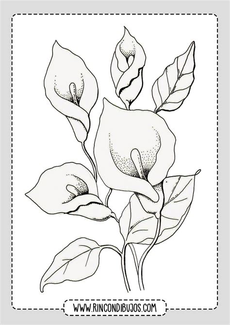 Dibujos De Flores Para Imprimir Y Colorear Rincon Dib Vrogue Co