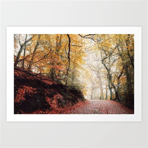 Path Through The Autumn Forest Art Print By Staypositivedesign