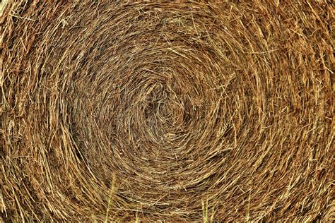 Round Hay Bale Background Free Stock Photo Public Domain Pictures