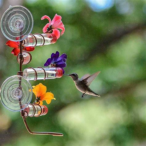 30 Brilliant Ways To Attract Hummingbirds To Your Backyard In 2021