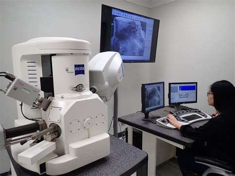 Scanning Electron Microscopy Metallurgical Engineering Services