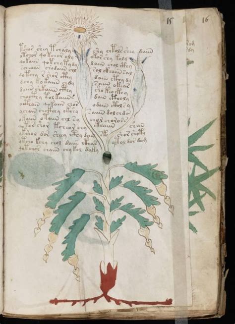 The Voynich Manuscript Mysterious Manuscript Written In Unknown