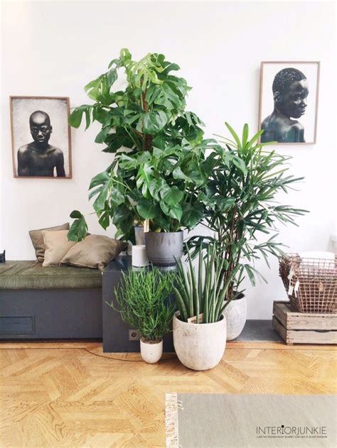 Incredible Indoor Plants Arrangement Ideas Basic Idea Home Decorating