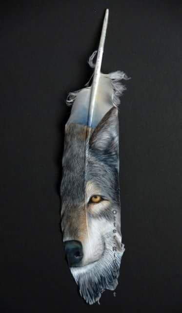 Wolf And Moon On A Feather