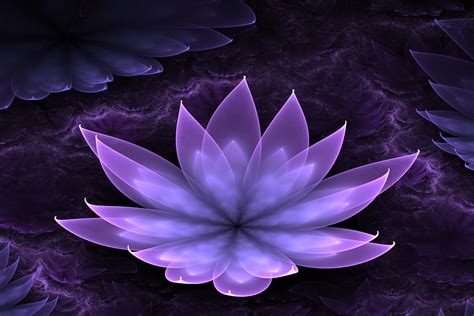 68 Lotus Flower Background