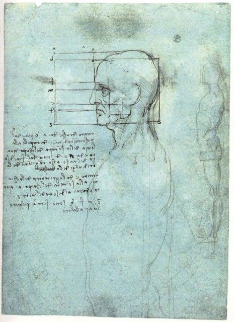 Leonardo Da Vinci Study Of Proportions Head Body Leonardo Da