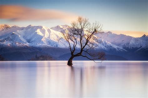 7 Best Photography Spots In Wanaka New Zealand Scenic Destinations