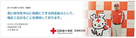 日本赤十字社へオンライン寄付決済システムを導入 ～キャッシュレス寄付で1回100円からの気軽な募金が簡単に～｜株式会社robot Paymentのプレスリリース