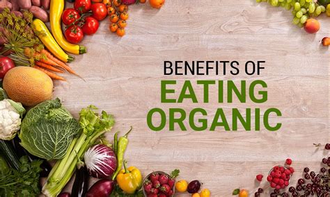 Organic Food Why Organic Food Products Is Important In India
