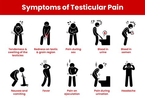 Natural Healing Ayurvedic Home Remedies For Testicular Pain