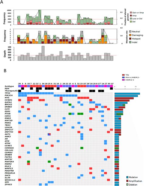 Distribution Of Molecular Alterations Identified By Cgh Arrays And Ngs